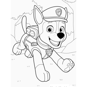 Chase da Patrulha Canina em Ação