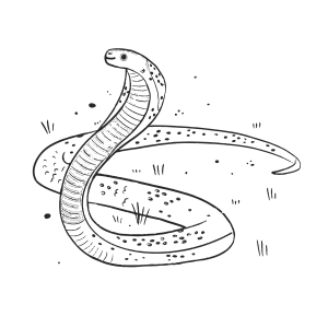 Uma Cobra Misteriosa para Colorir