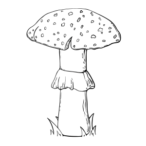 Cogumelo realista de chapéu largo para colorir