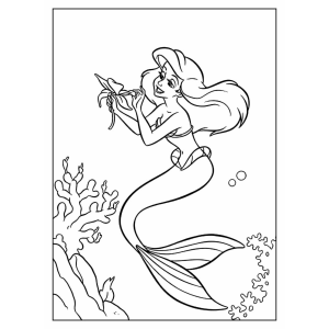 Colore a Aventura Submarina de Ariel