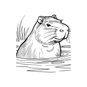 Colorindo a Capivara no Lago