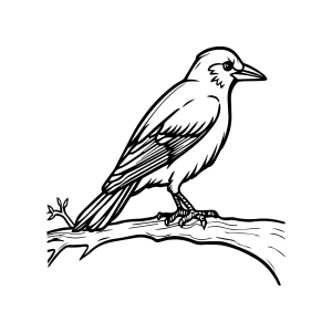 Corvo pousado no galho seco para colorir