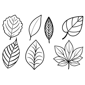 Diversidade de Folhas para Colorir