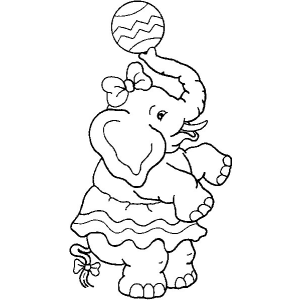 Elefantinha Equilibrista