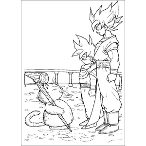 O Encontro de Goku e Gohan com Karin