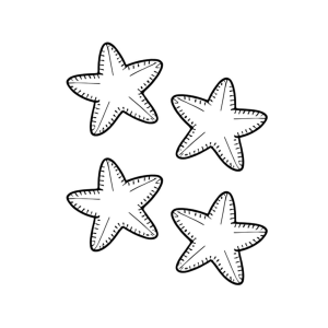 Estrelas do Mar Imaginativas