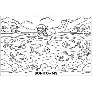 Exploração Subaquática em Bonito
