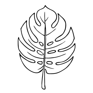 Explorando a Elegância da Folha de Monstera