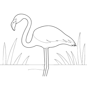 Flamingo de traço simples para colorir