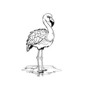 Flamingo elegante caminhando para colorir