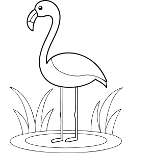Flamingo em pé com as duas pernas para colorir