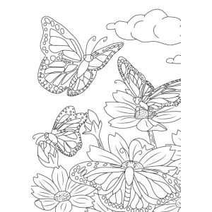FLores e Borboletas para Colorir