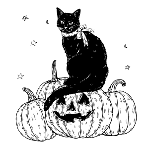 Gato preto sentado nas abóboras para colorir