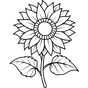 Girassol grande com folhas abertas para colorir