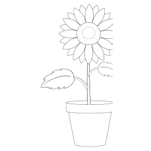 Girassol no vaso de cerâmica para colorir