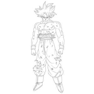 Goku em Transformação Poderosa