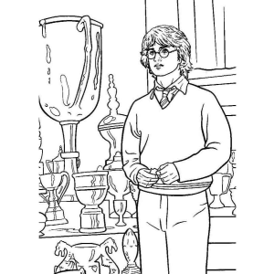 Harry e o Troféu Mágico