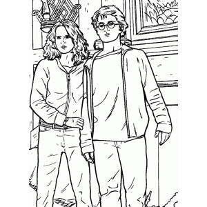 Harry e Hermione: Aventura Além dos Muros de Hogwarts