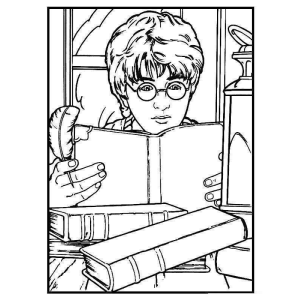Harry Potter e o Mundo dos Livros de Magia