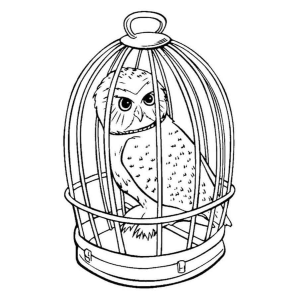 Hedwig: A Coruja Icônica na Gaiola