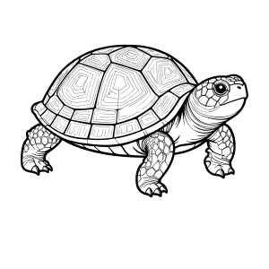 Jabuti de casco pintadinho para colorir