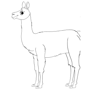 Lhama em pé de perfil para colorir