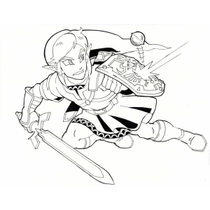 Link em Ação: Defensor de Hyrule