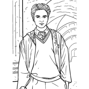 Magia dos Detalhes em Hogwarts
