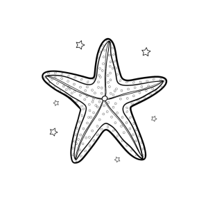 A Magia das Estrelas do Mar