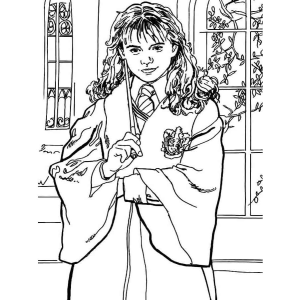 Magia e Inteligência: Uma Estudante de Hogwarts