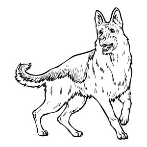 Majestic German Shepherd Coloring Page
