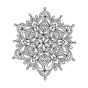 Mandala floral detalhada com pétalas para colorir