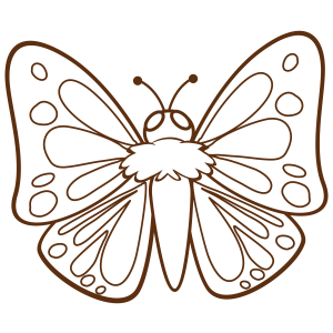 Maravilhosa Borboleta para Colorir