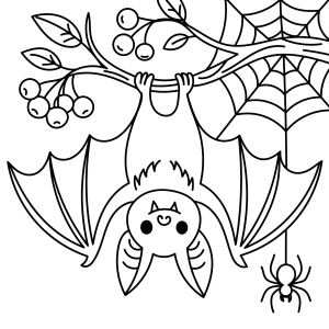Morcego e aranha no galho para colorir