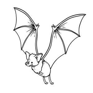 Morcego pendurado de cabeça para baixo para colorir