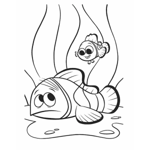 Nemo e Marlin nadando entre as algas para colorir