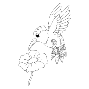 Pássaro e Flor Encantadora