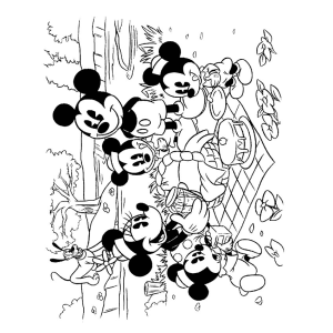 Piquenique Encantado com Mickey e Amigos