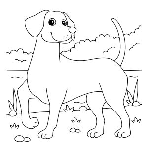 Relaxe com Este Adorável Cachorro