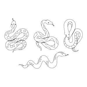 Serpentes Encantadoras para Colorir