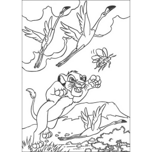 Simba brincando com a borboleta para colorir