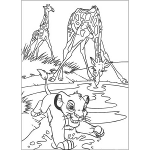 Simba e as girafas no lago para colorir