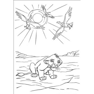 Simba filhote e os pássaros ao sol para colorir