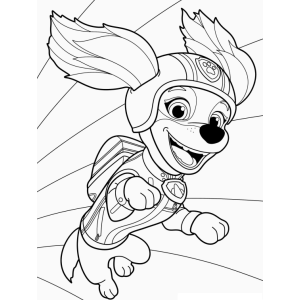 Skye em Ação: Aventure-se com PAW Patrol