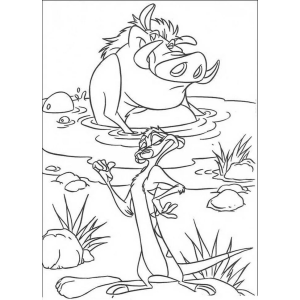 Timão e Pumba no riacho para colorir