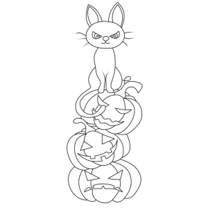 Torre de Abóboras e o Gato Misterioso
