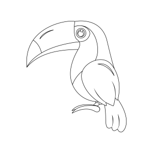Tucano de contorno simples para os pequenos para colorir