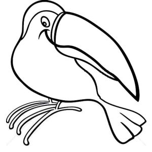 Tucano simples para pintar
