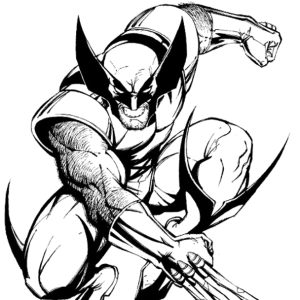 Wolverine agachado prestes a atacar para colorir