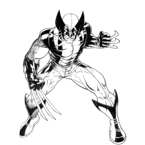 Wolverine rugindo com as garras levantadas para colorir